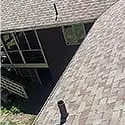 Roof cleaning 6